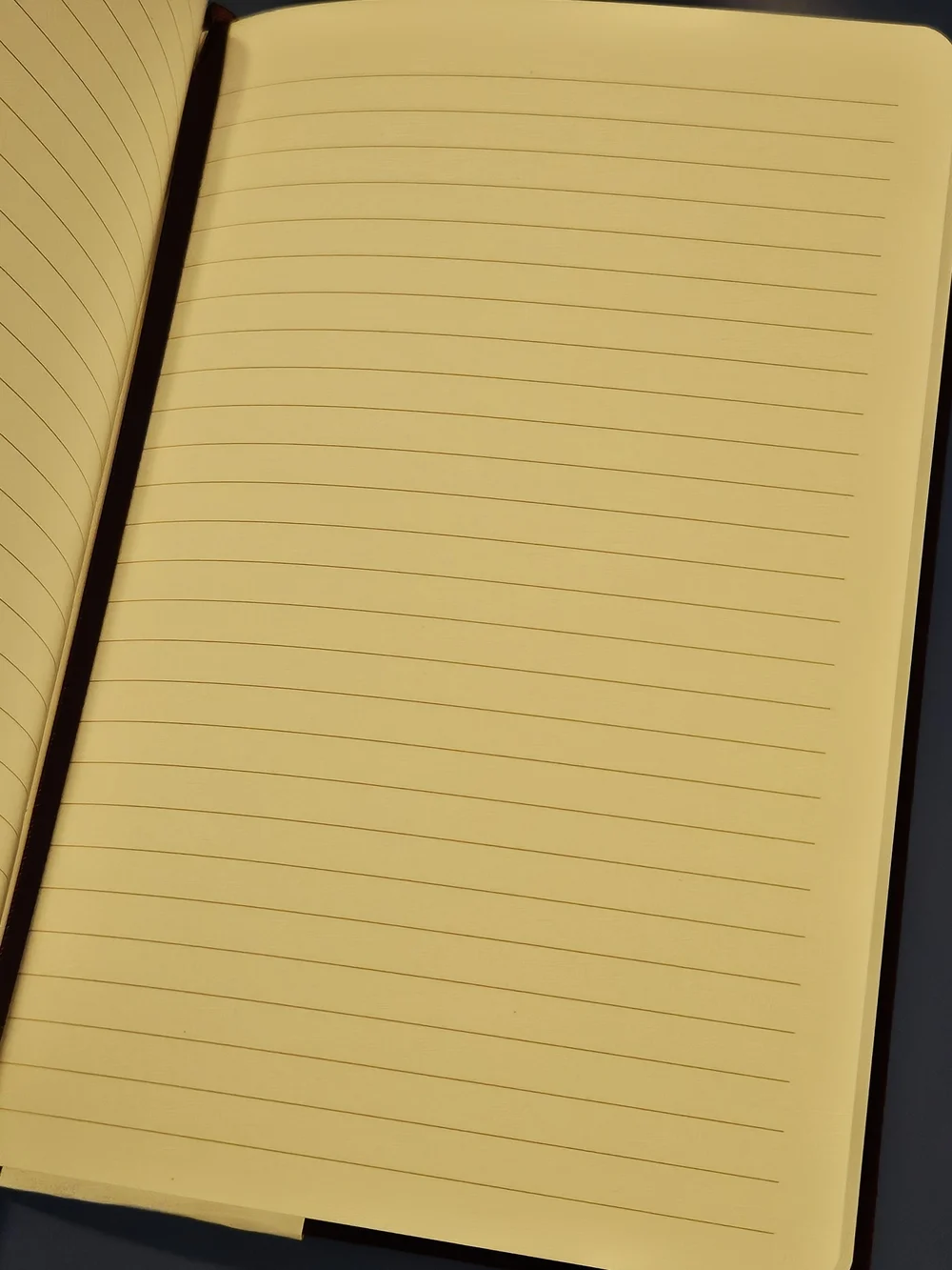 New Burgundy Velvet Lined Notebook